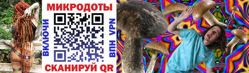Псилоцибиновые грибы Magic Shrooms  Ясногорск 